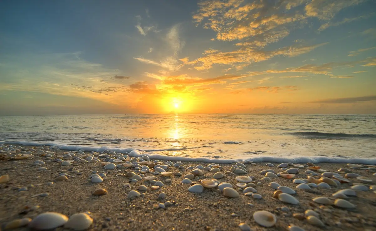 Singer Island