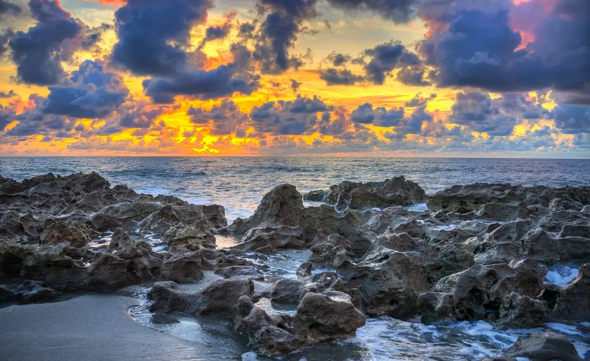 Tequesta
