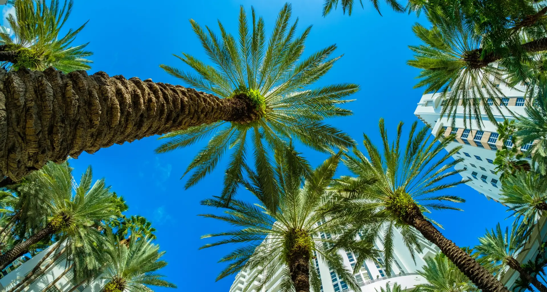 Beautiful Miami Beach