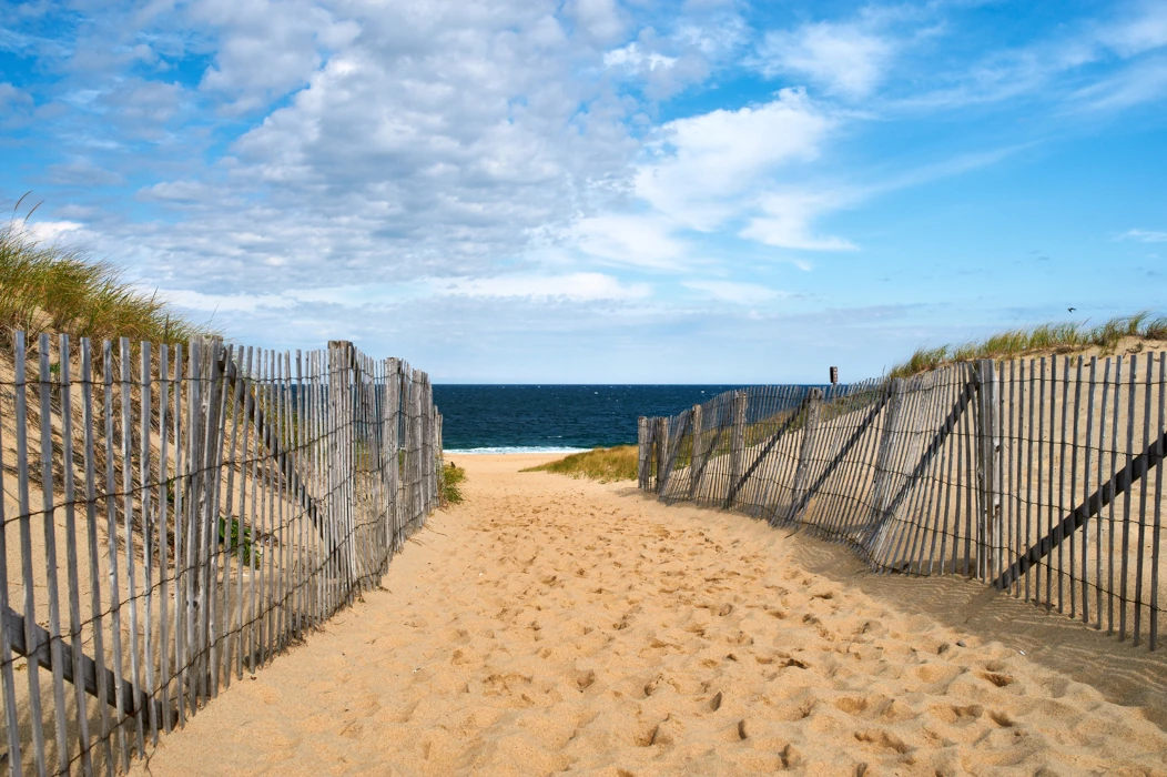Cape Cod
