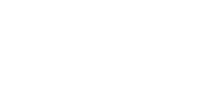 Theo Carmone logo
