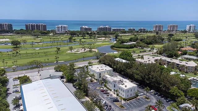 Town aerial view