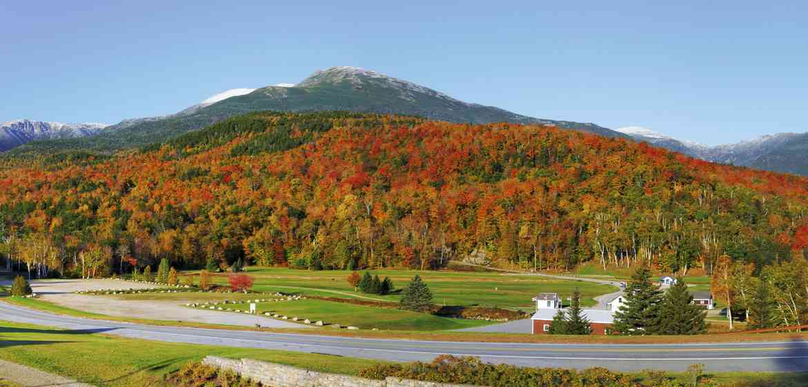 We Know the Land David R. Haine Real Estate