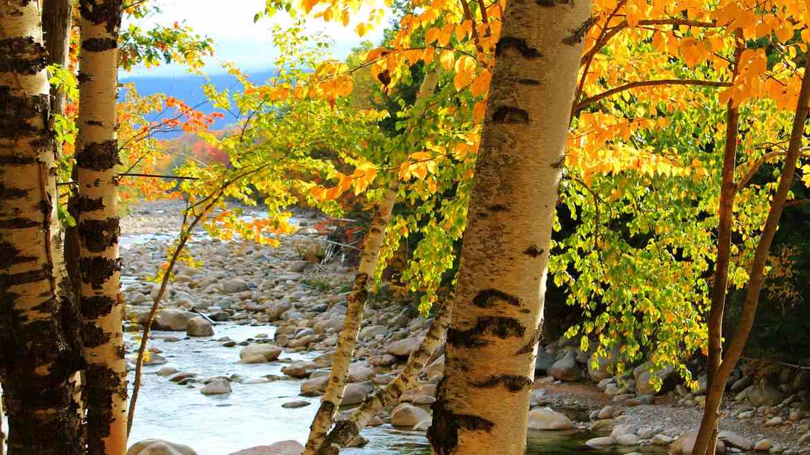 Alpine Lakes Real Estate Alpine Lakes Real Estate