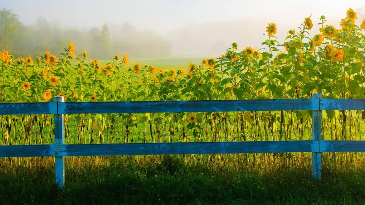 Bourn Brook Condos Manchester VT Real Estate REMAX Four Seasons