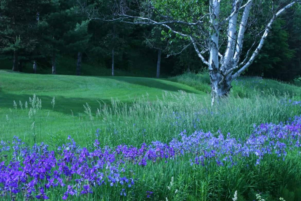 Wheelock VT Begin Realty Associates