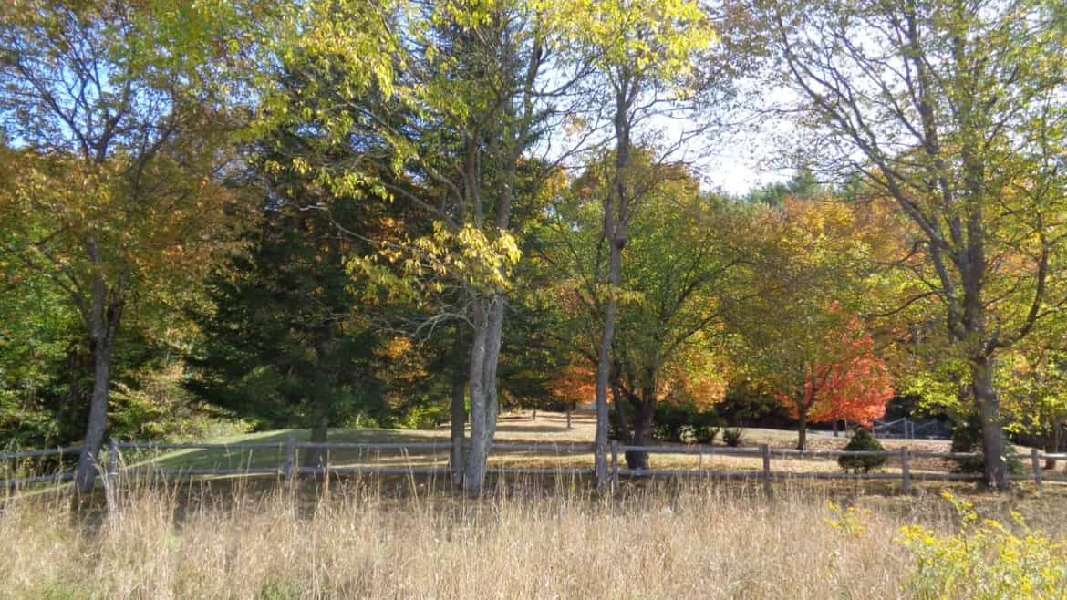 Randolph Vermont Real Estate Central VT Homes for Sale