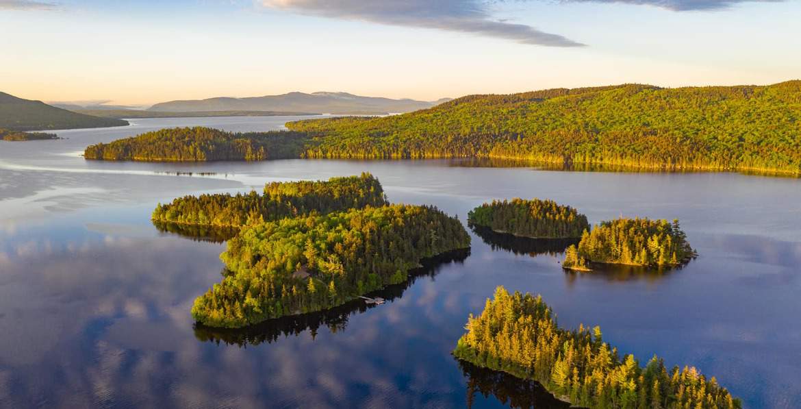 Home Page Noyes Real Estate Agency