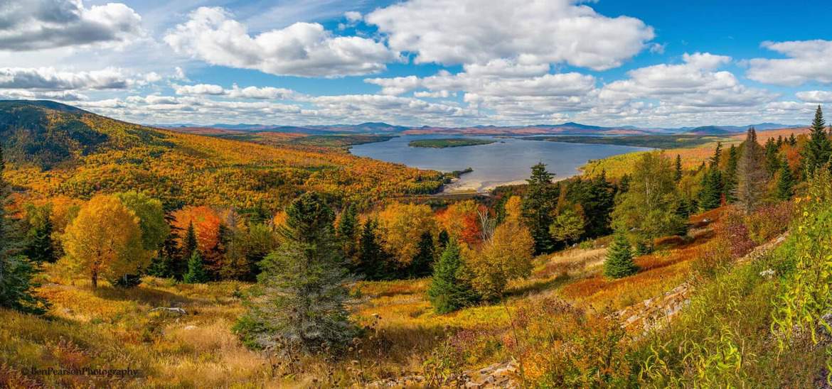 Home Page Noyes Real Estate Agency