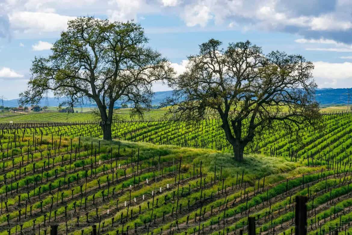 Homes for Sale on the Central Coast CA Central Coast SIR