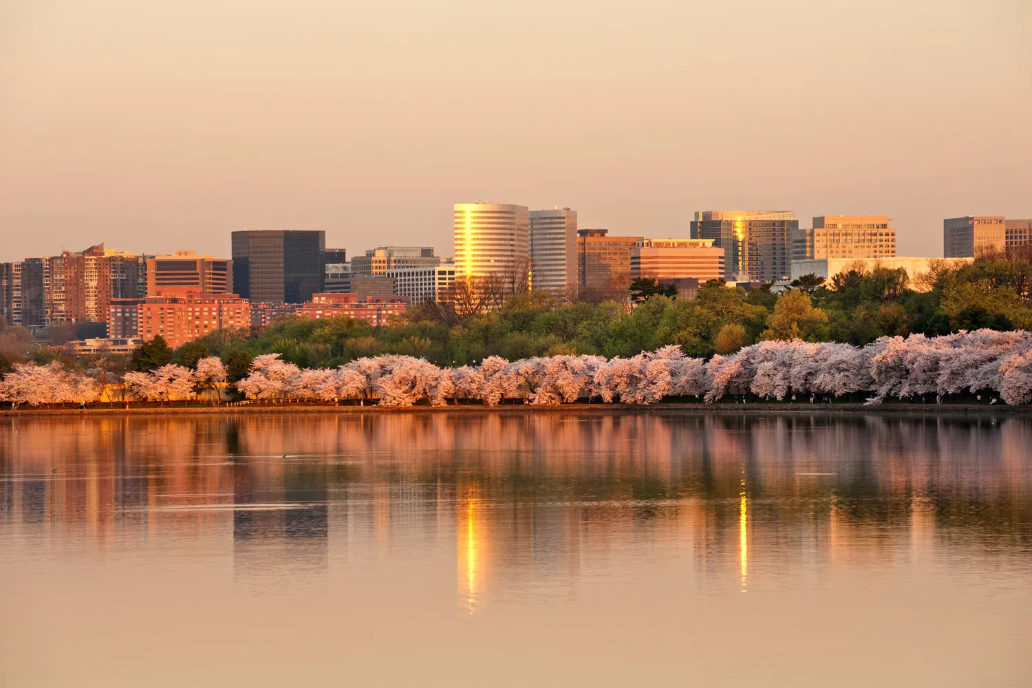Virginia