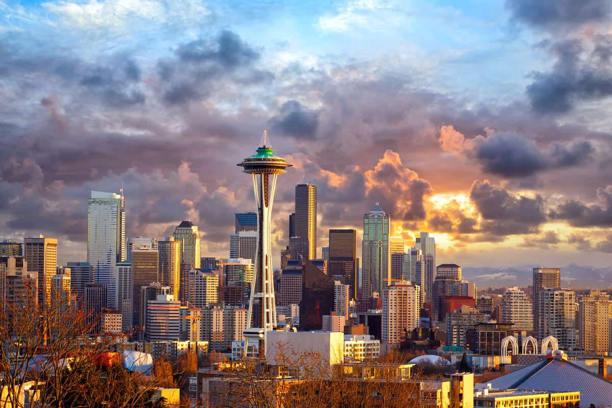 Seattle View
