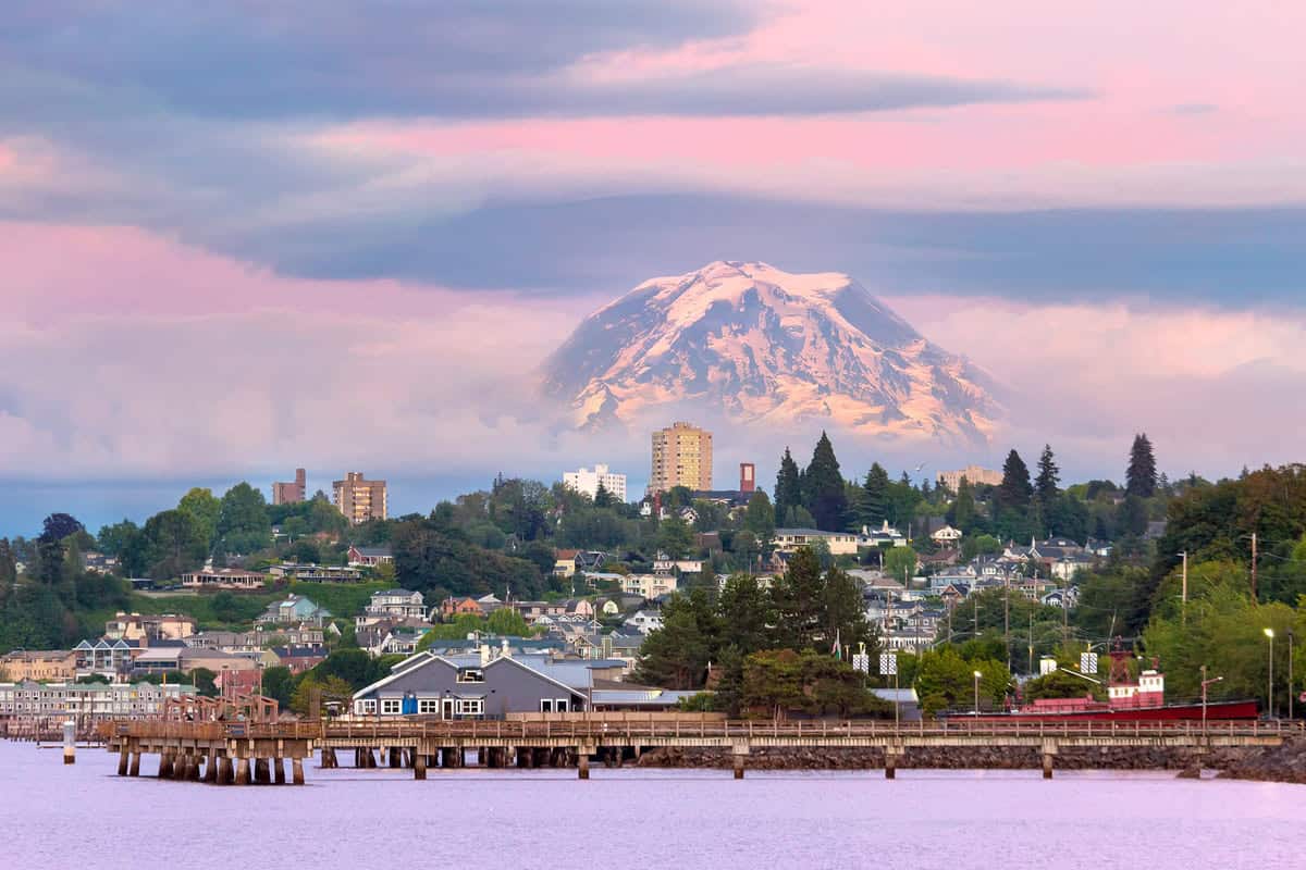 Tacoma View