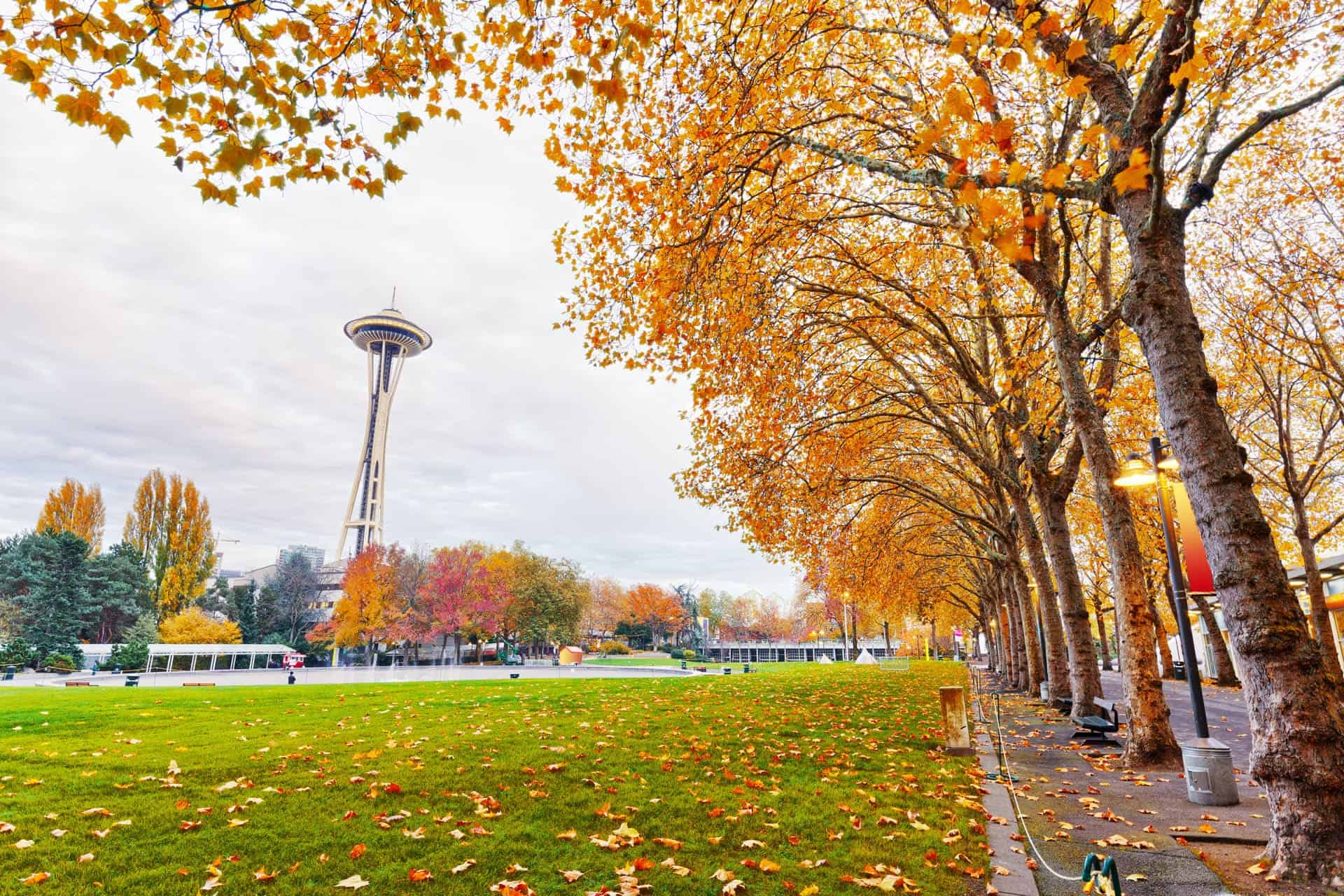 Fall Skyline View