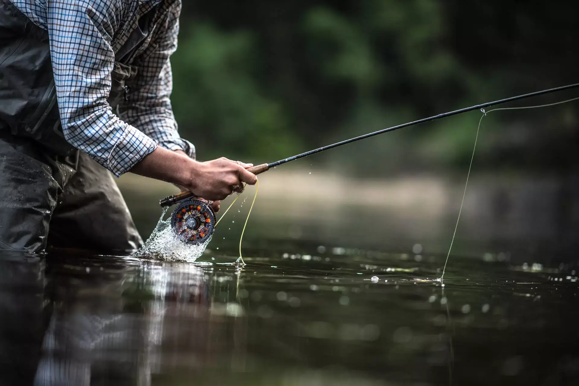 fly fishing guy