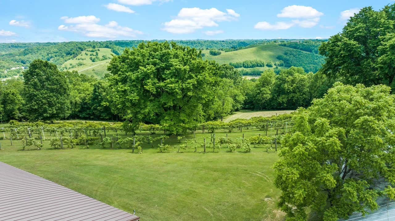 Land View