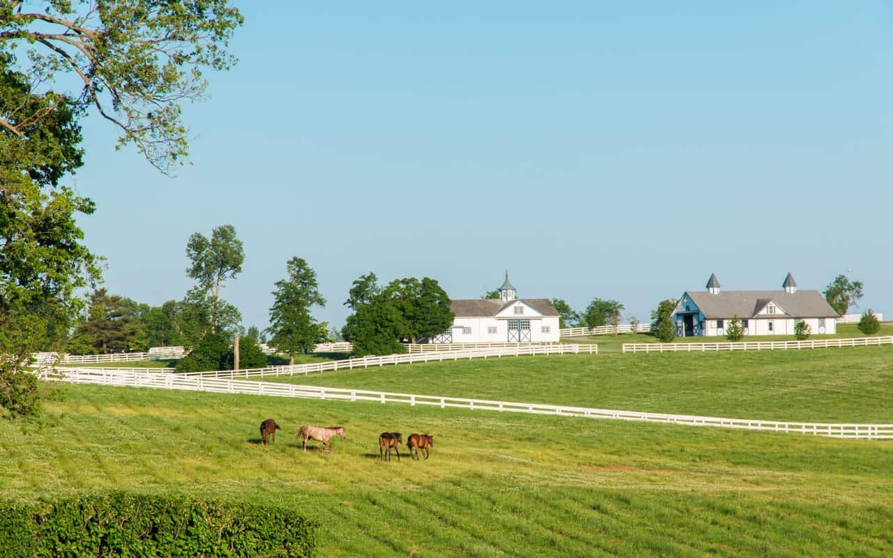 Farm View