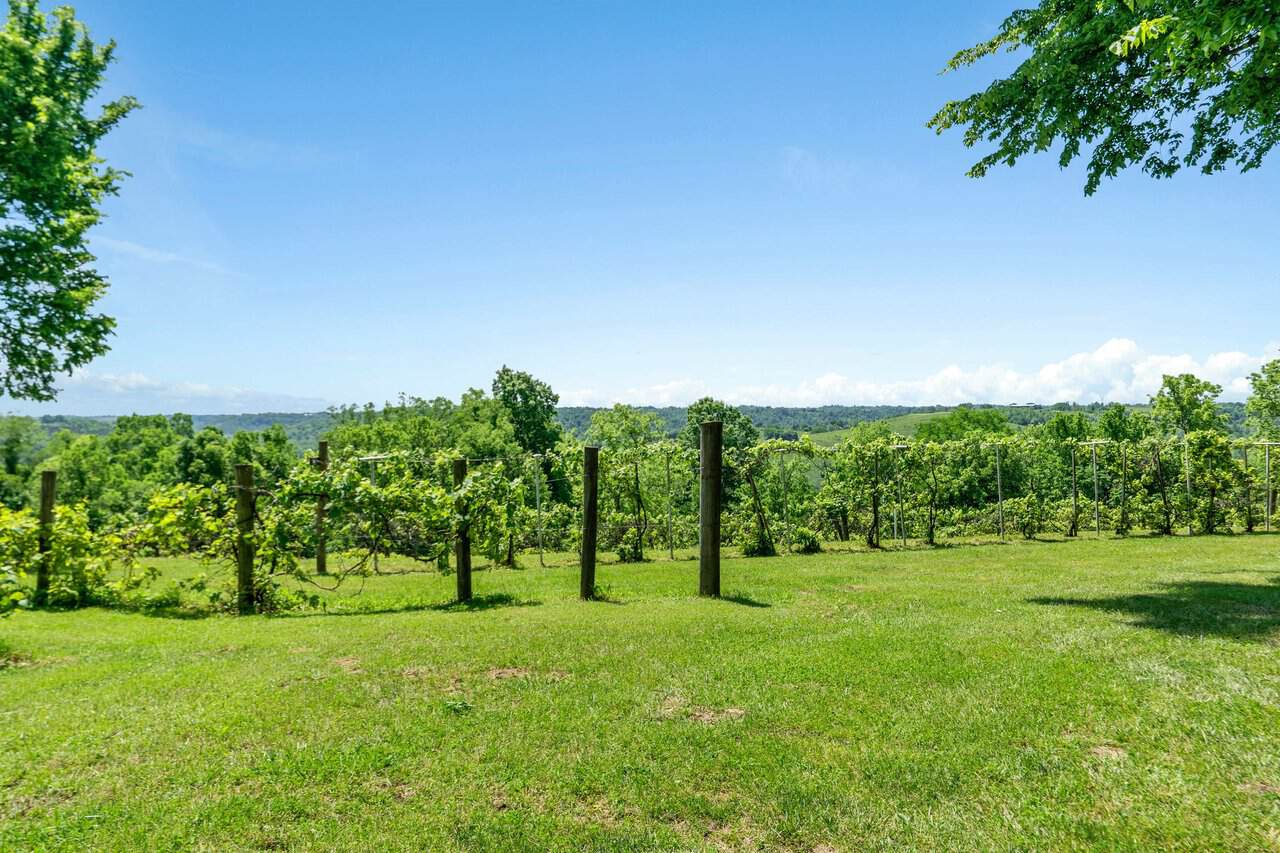 Land View