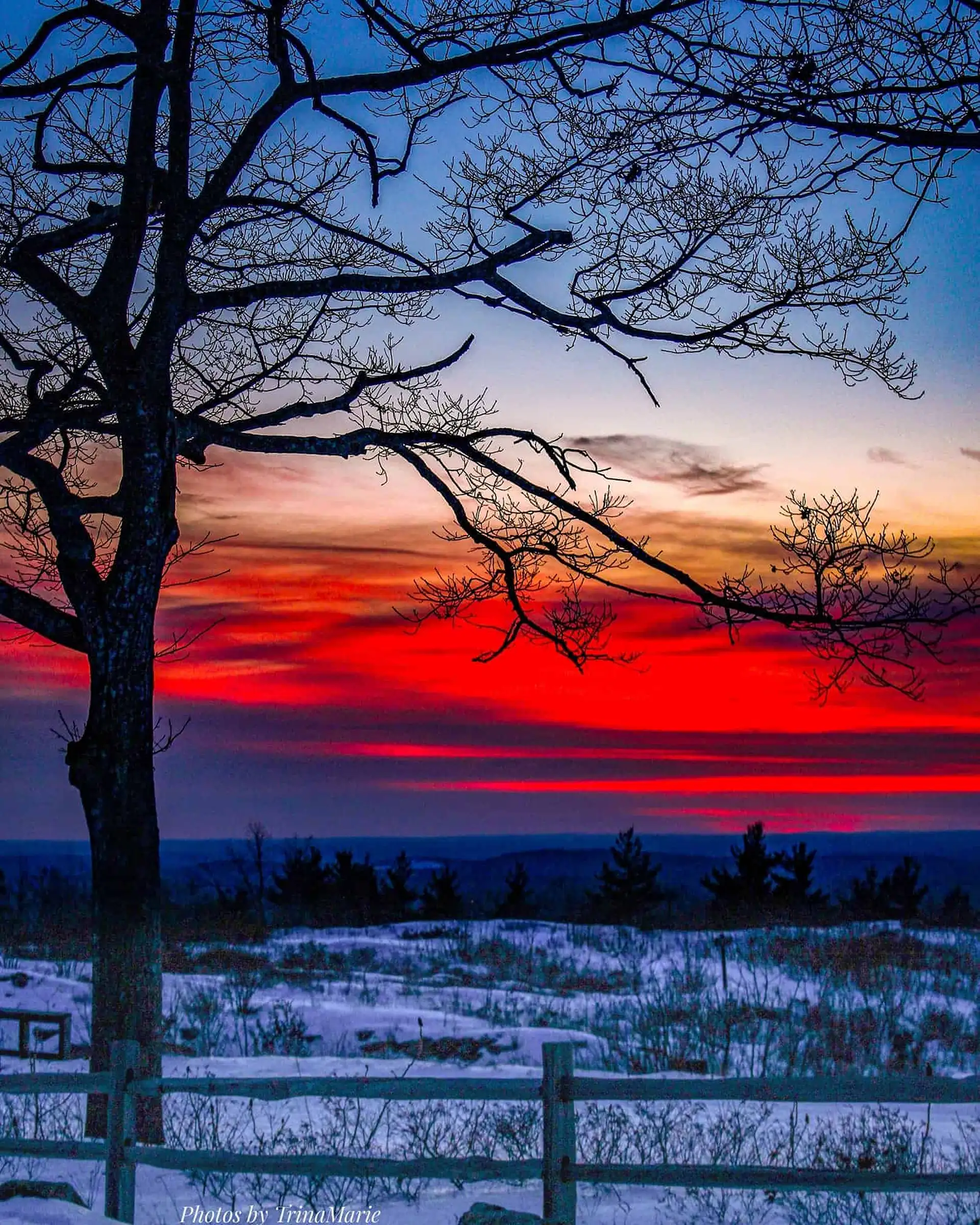 scenic photo