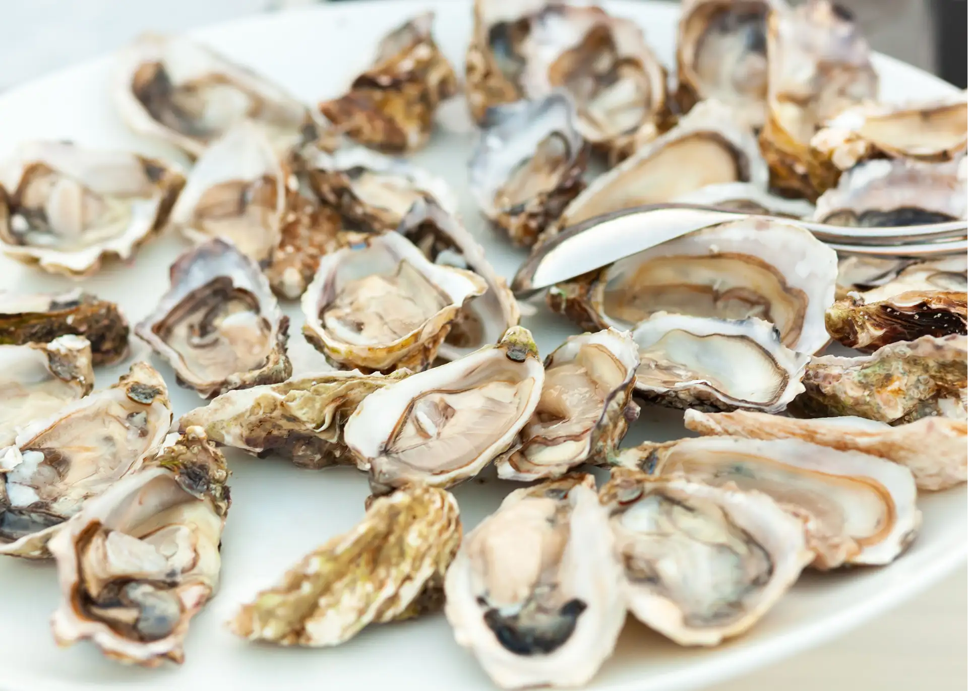 seafood