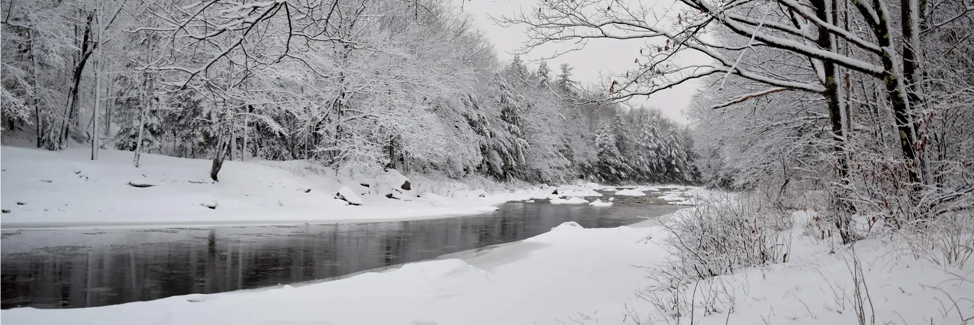 scenic photo