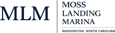 MLM Logo