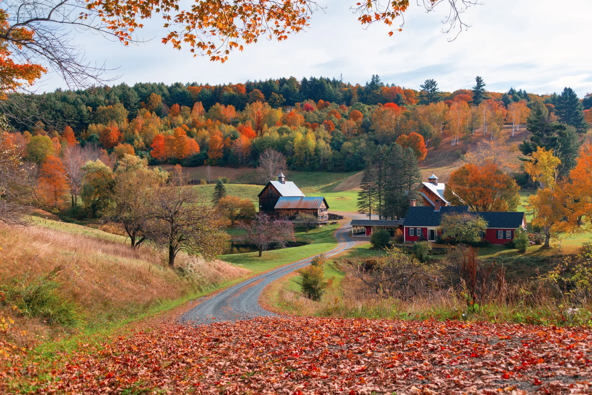 Beautiful Fall colors farm house