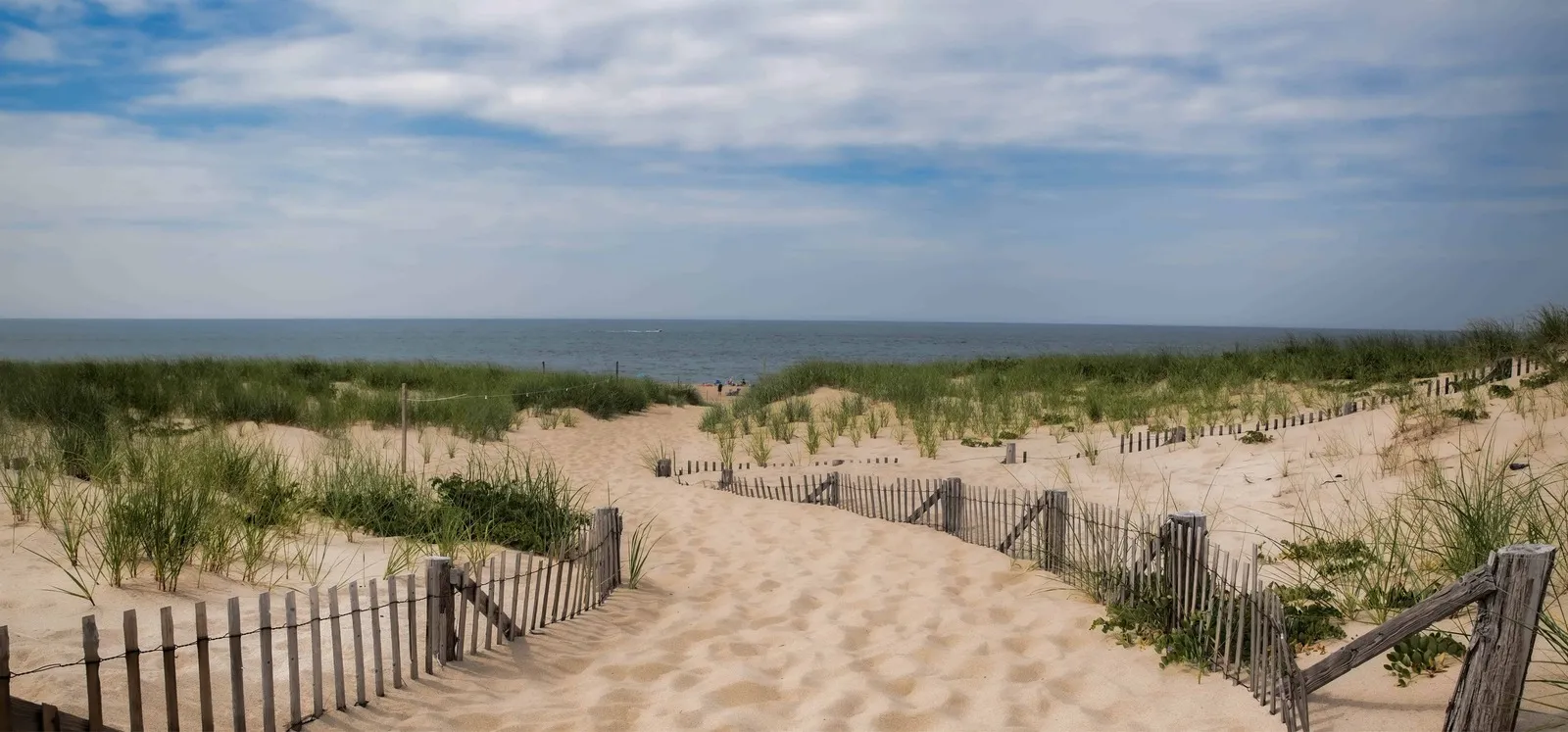 Beach View