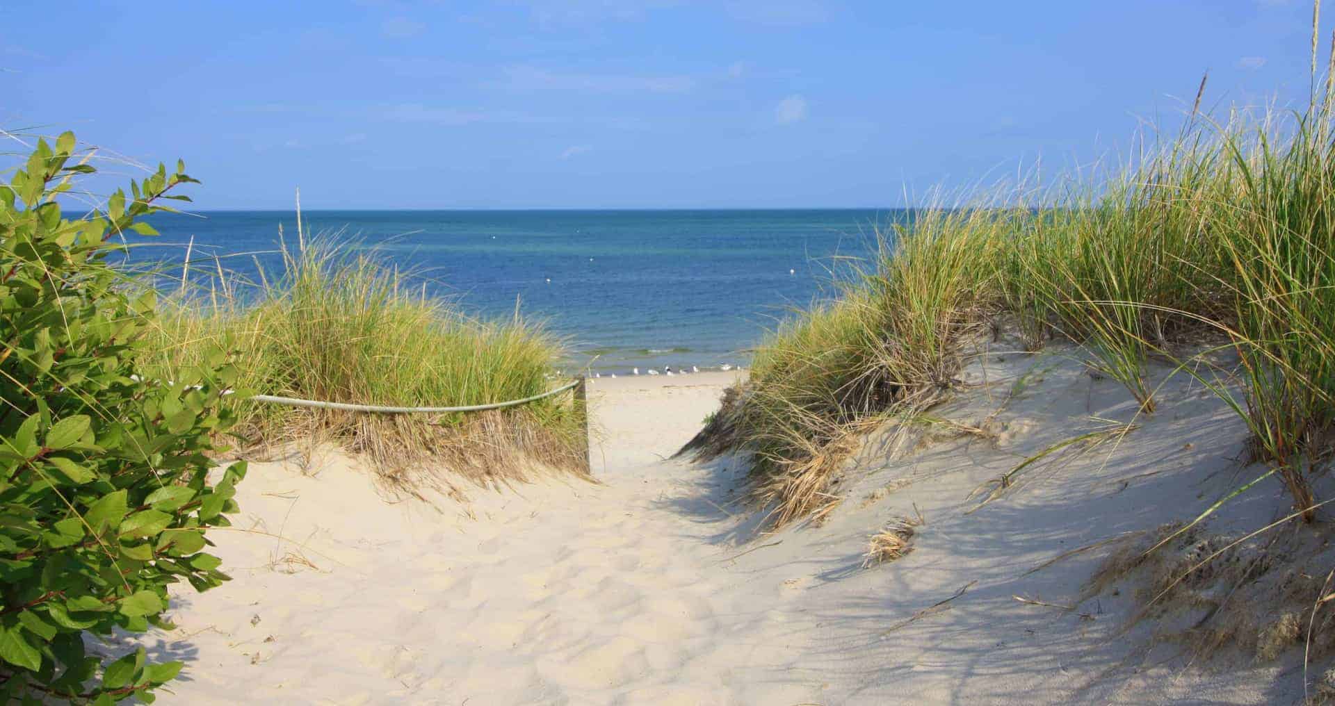 Beach view