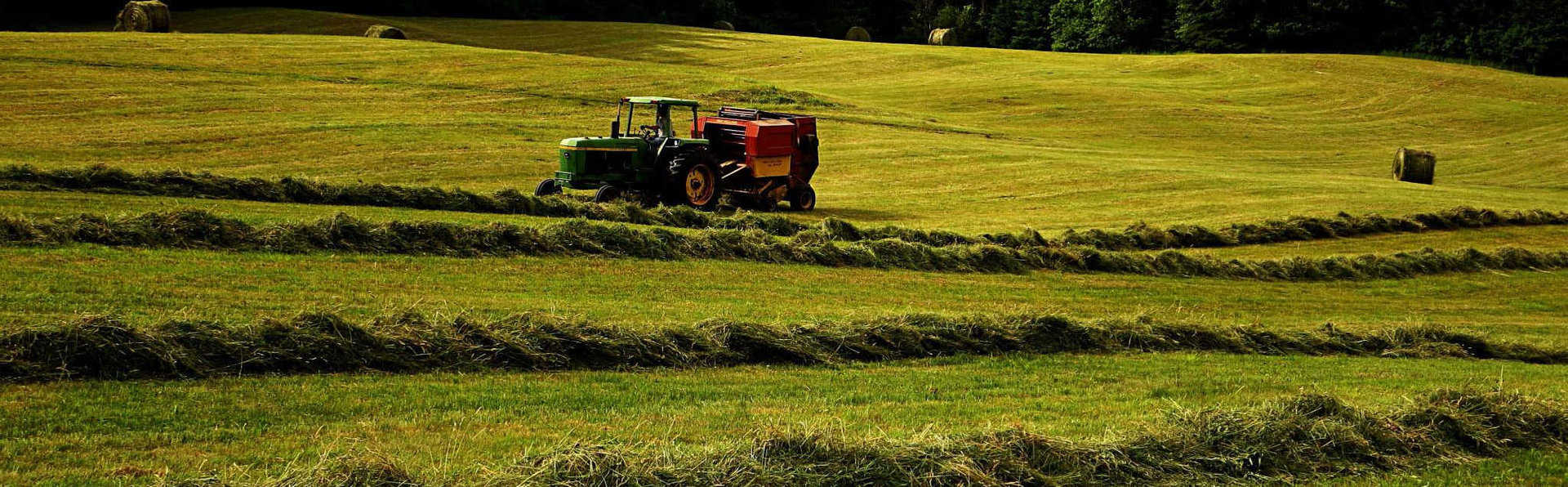 St Johnsbury VT real estate, Lyndonville, Northeast Kingdom Vermont