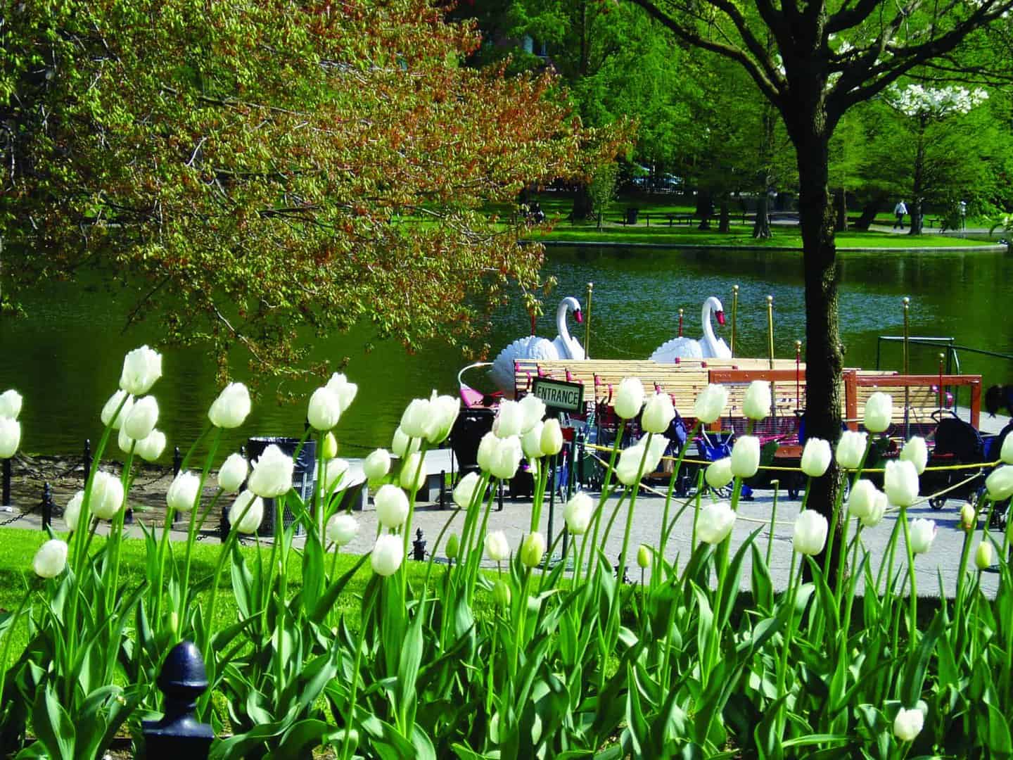 Refreshed Blooming Flowers Garden Joyful In The Riverside In