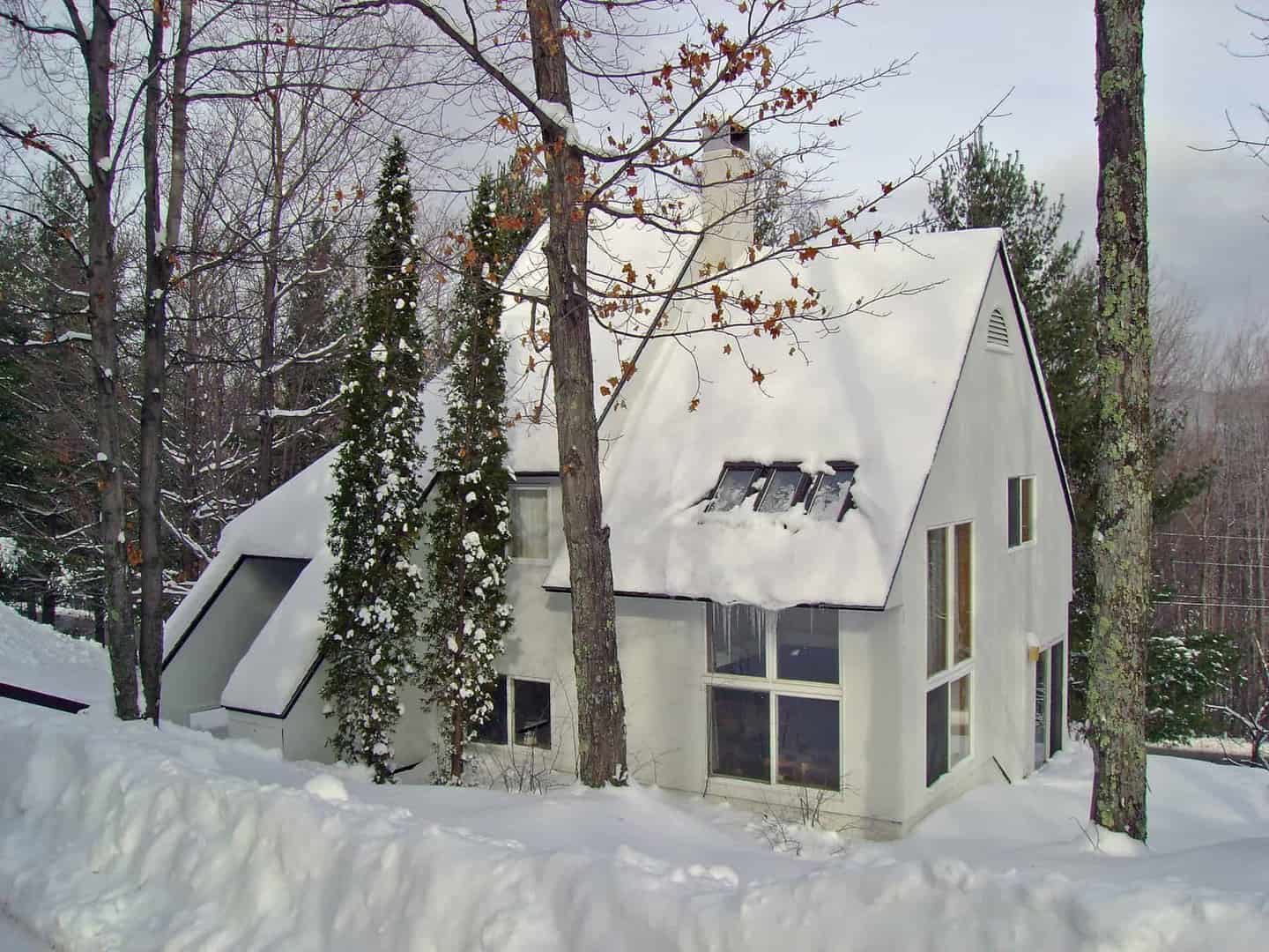 South Village Sugarbush and Mad River Valley's Leading Agency for