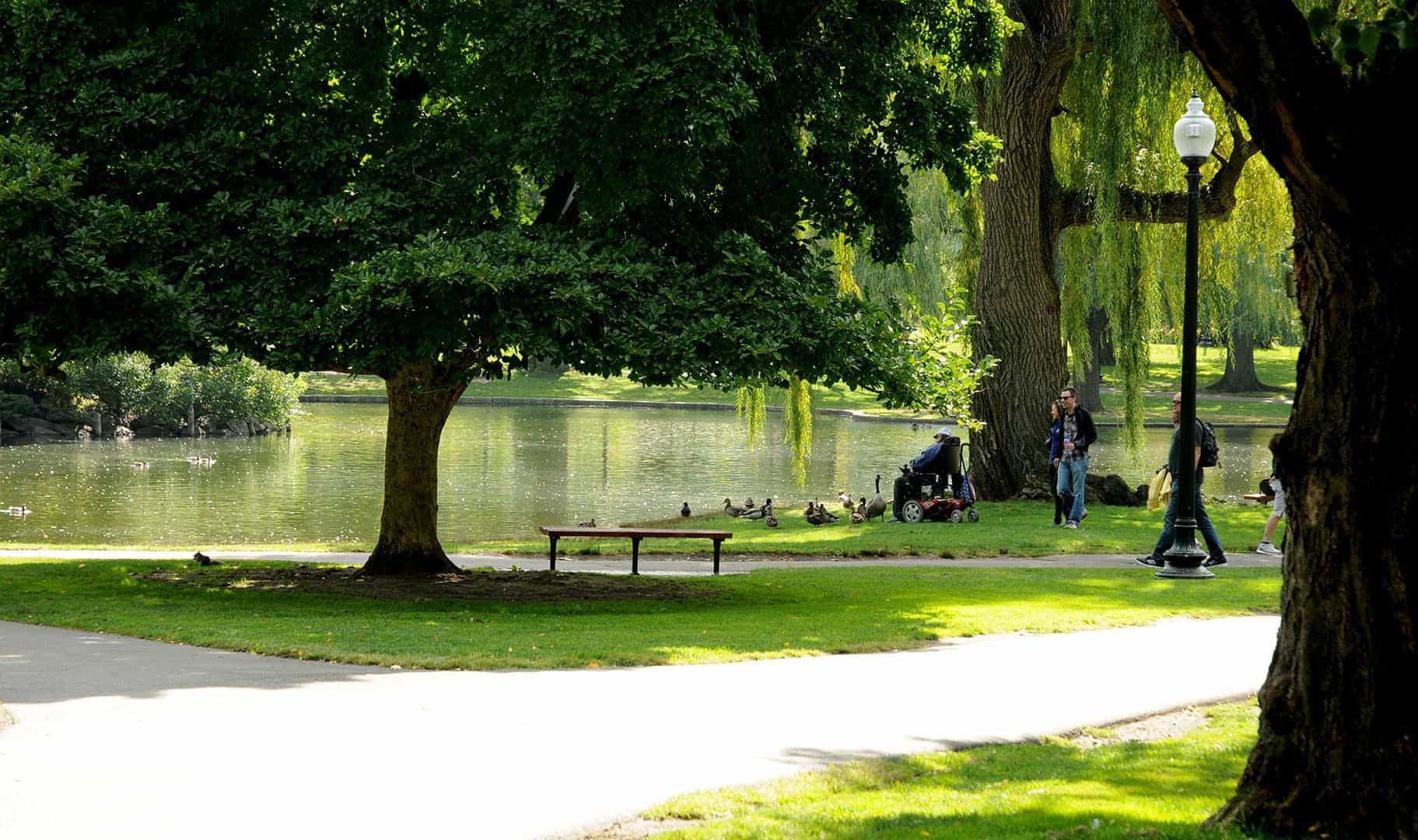 People have a good time near the lake in the park