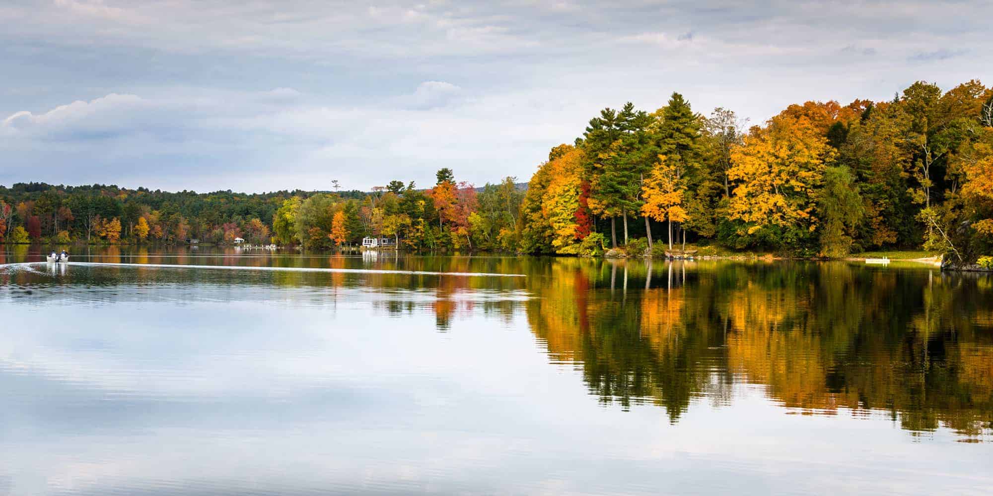 Lake and forest view