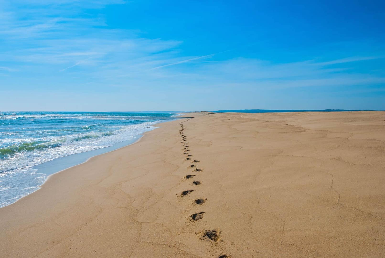 footprints on the beach in Martha's Vineyard