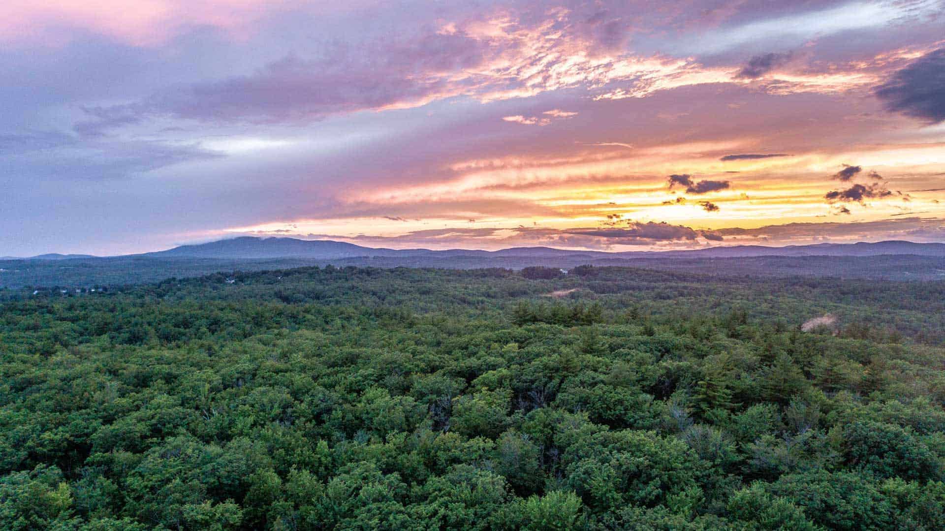 Find An Agent Halliday Real Estate