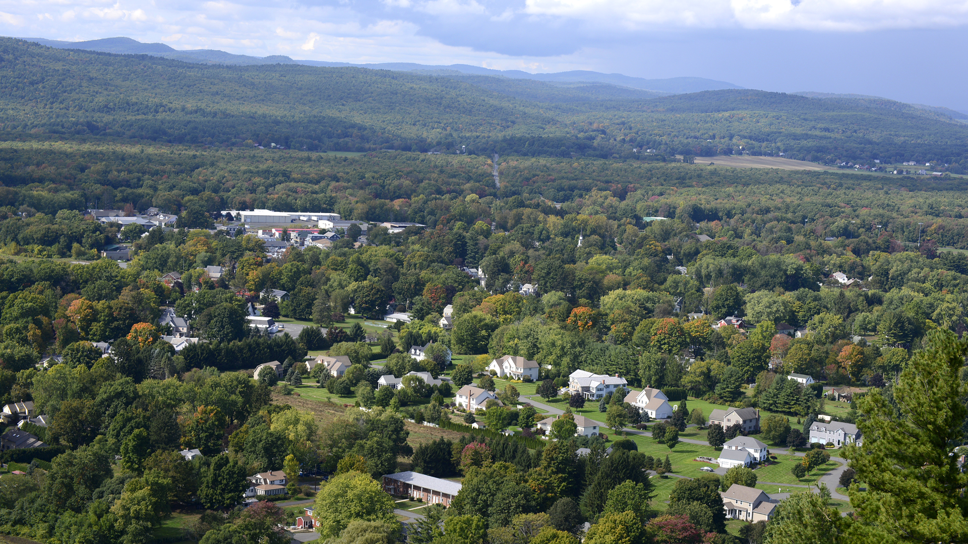 arial view of small suburban neighborhood lined with trees