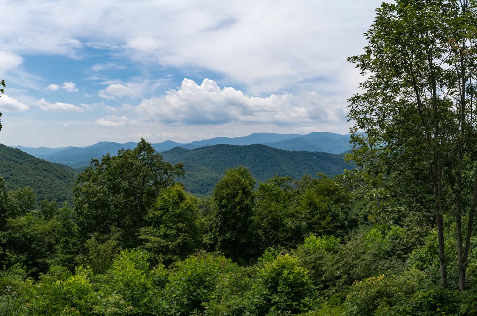 Scaly Mountain NC Area Information | About Scaly Mountain NC