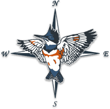 Kingfisher company logo