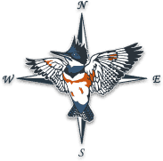 Logo with buird with compass star on the backbround