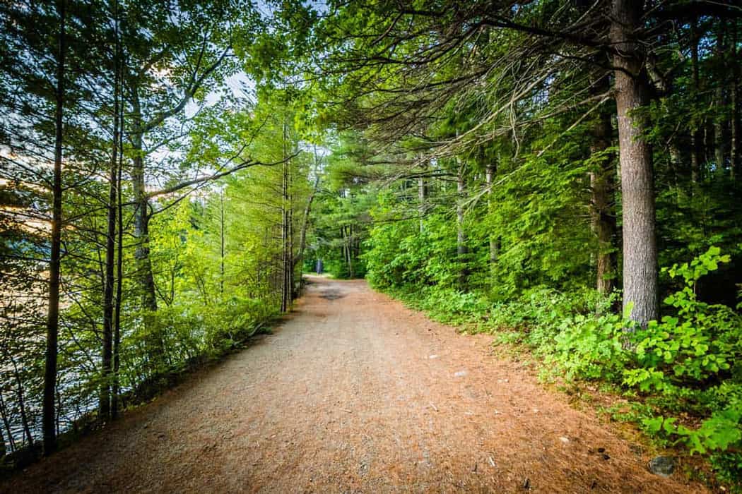 Country road