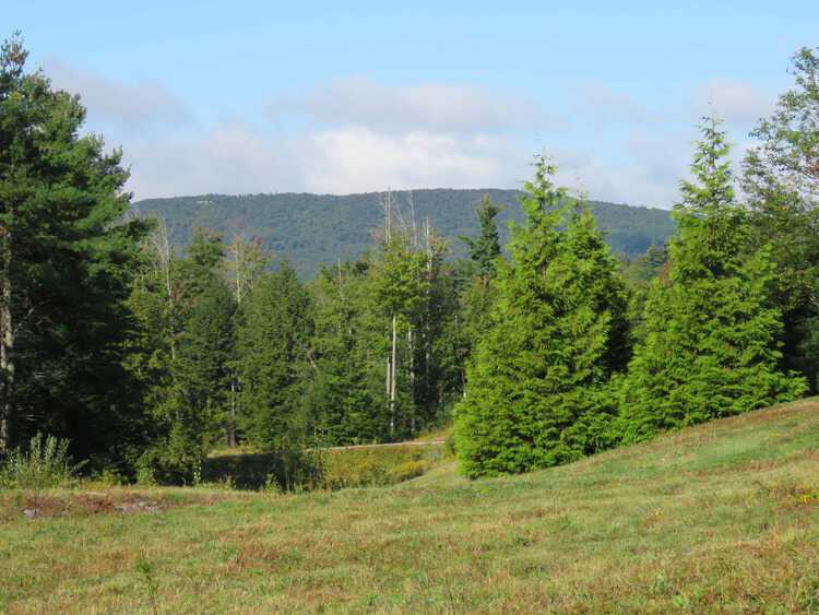 Peterborough, NH & New Hampshire Monadnock Region Homes for Sale