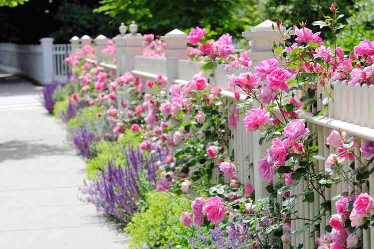 Stamford CT Real Estate Fairfield County Homes for Sale