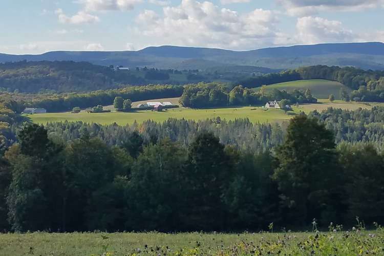 Northeast Kingdom Real Estate, Vermont VT Realtors Begin Realty