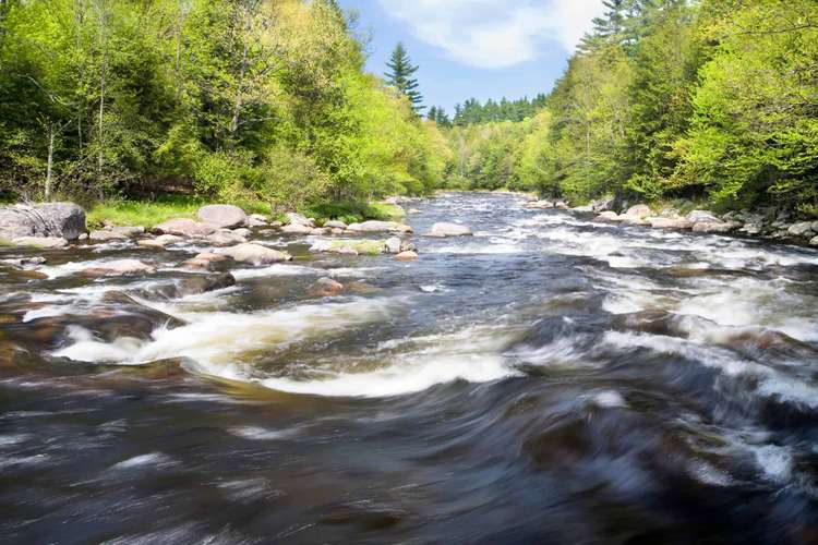 New York State Real Estate Walton Realty Group