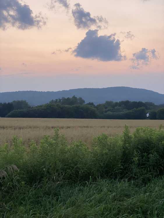 Mahar McCarthy Real Estate