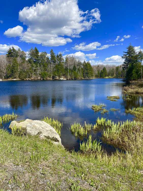 Kelley McCarthy Mahar McCarthy Real Estate VT Real Estate