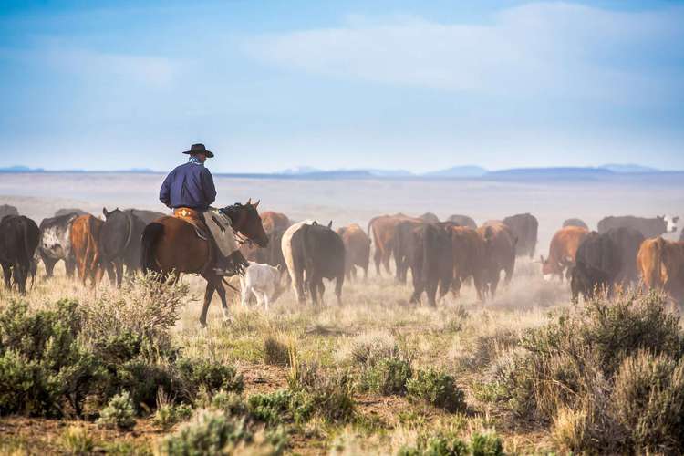 Coordinates Land Magazine | West and Swope Ranches