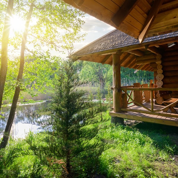 Cabin in woods next to pond