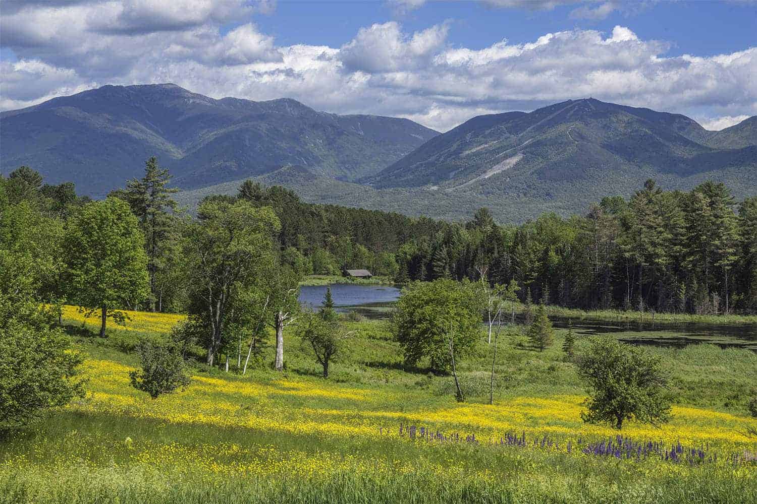 Mountains View